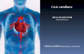Anatomia ciclo cardiaco final