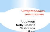 Stretococcus pneumoniae