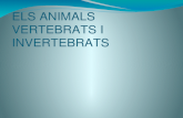 Els animals vertebrats i invertebrats  - Pol D²ria (Escola del Parc)
