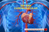 Sistema cardiovascular ept