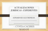 ACTUALIZACIONES JURIDICAS - EXPEDIENTES