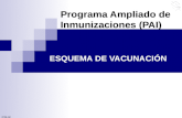 PAI programa ampliado de inmunizaciones