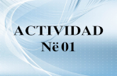 Ejercicios de esttica (actividad n 1)   5