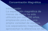 Concentracion Magnetica