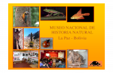 Museo Historia Natural La Paz Bolivia