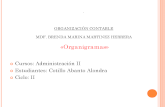 Organigrama_ de_ Administracion.pdf