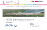 Indicadores de la Cuenta Sat©lite Ambiental ICSA .Indicadores de impuestos ambientales Indicadores