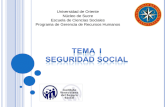 PRESENTACI“N DE SEGURIDAD SOCIAL TEMA I ACTUAL 2014.ppt
