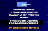 TROMBOSIS VENOSA PORTO-MESENTERICA Dr. Angel Moya socieda .Pancreatitis Apendicitis Diverticulitis