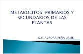 Metabolitos Primarios y Secundarios de Las Plantas. Apupe 3