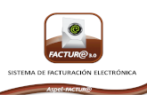 Sistema de Facturaci³n Electr³nica