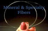 15571135 Speciality Fibres Ppt