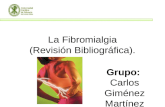 La Fibromialgia (Revisi³n Bibliogrfica)
