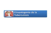 Etiopatogenia de la Tuberculosis - Tuberculosis â€¢ Enfermedad infecto - contagiosa causada por M. tuberculosis