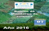 Bolet£­n de Monitoreo de cultivos - Bolet£­n SMC - Julio - 2016.pdf¢  puedan presentar; plagas, enfermedades