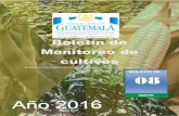 Bolet£­n de Monitoreo de cultivos - Bolet£­n SMC - Agosto - 2016.pdf¢  plagas en diferentes departamentos;