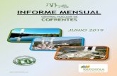 INFORME MENSUAL - . Informe...¢  Informe mensual CN Cofrentes (junio 2019) 3 1. FUNCIONAMIENTO 1.1