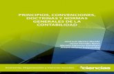 PRINCIPIOS, CONVENCIONES, DOCTRINAS Y NORMAS ... Principios, Convenciones, Doctrinas y Normas Generales