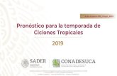 Pronأ³stico para la temporada de Ciclones Tropicales 2019 Ciclones Tropicales 2019 Nombre de los Ciclones