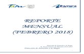 REPORTE MENSUAL (FEBRERO 2018) ALTAMIRA...¢  REPORTE MENSUAL (FEBRERO 2018) Direcci£³n de Atenci£³n