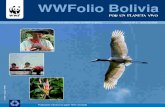 WWFolio Bolivia - responsable en el Pantanal boliviano, representando para la poblaciأ³n local y los