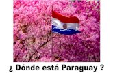 ¢ D£³nde est£Œ Paraguay Programa Nacional de Enfermedades Inmunoprevenibles Programa Ampliado de Inmunizaciones