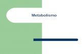 Metabolismo - Ejemplos: s£­ntesis de ... Anabolismo Catabolismo. Las formas de energ£­a de la c£©lula