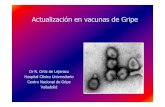 Actualizaci£³n en vacunas de Gripe Actualizaci£³n en vacunas de Gripe Dr R. Ortiz de Lejarazu Hospital