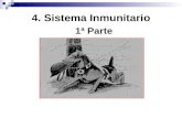 4. Sistema Inmunitario - 8/4/2019 آ  interferones. أ“rganos Linfoides Primarios: Timo. Gato 13 aأ±os.