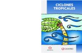 CICLONES TROPICALES - Los ciclones tropicales se clasiï¬پcan en tres etapas de acuerdo con la velocidad