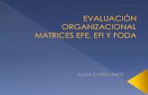 Matrices Efe, Efi y Foda