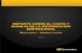 Reporte 2012 sobre la Informaci³n Empresarial LATAM (Symantec)