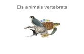 Animals vertebrats power