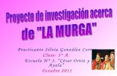 Proyecto "La Murga"