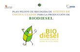 School Biodiesel