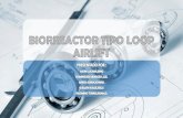 Biorreactor tipo loop