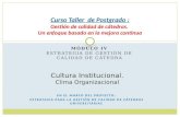 Cultura Institucional- Clima Organizacional