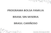 Bolsa Familia. Brasil sin miseria. Brasil  Carinhoso