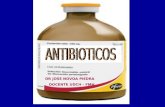 A) Antibioticos Fcs 2015-i (2) (1)