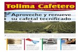 Tolima Cafetero 208