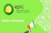 Servicios Epic Lemon   2017