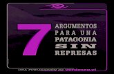 7 argumentos para una Patagonia sin represas