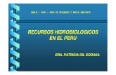 Hidrologia Del Mar Peruano