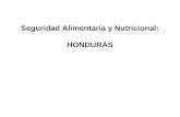 Seguridad Alimentaria y Nutricional: HONDURAS. Informe preparado por: OPS / OMS, UNICEF, PMA, FAO, Secretaria de Salud