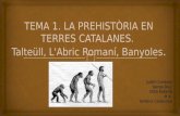 Tema 1. la prehistòria en terres catalanes.  talteüll, l'arbre romaní, banyoles.