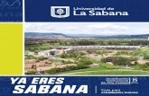 esde oy eres Sabana esde oy eres - Universidad de La Sabana Sitios de inter£©s Puntos de alimentaci£³n