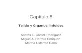 Cap­tulo 8 Tejido y ³rganos linfoides Andr©s E. Castell Rodr­guez Miguel A. Herrera Enr­quez Martha Ustarroz Cano
