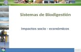 Sistemas de Biodigesti³n Impactos socio - econ³micos