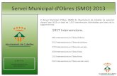 Memòria SMO 2013.pdf