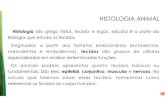 025 Histologia animal - tecido epitelial 2019. 8. 30.¢  Title: 025 Histologia animal - tecido